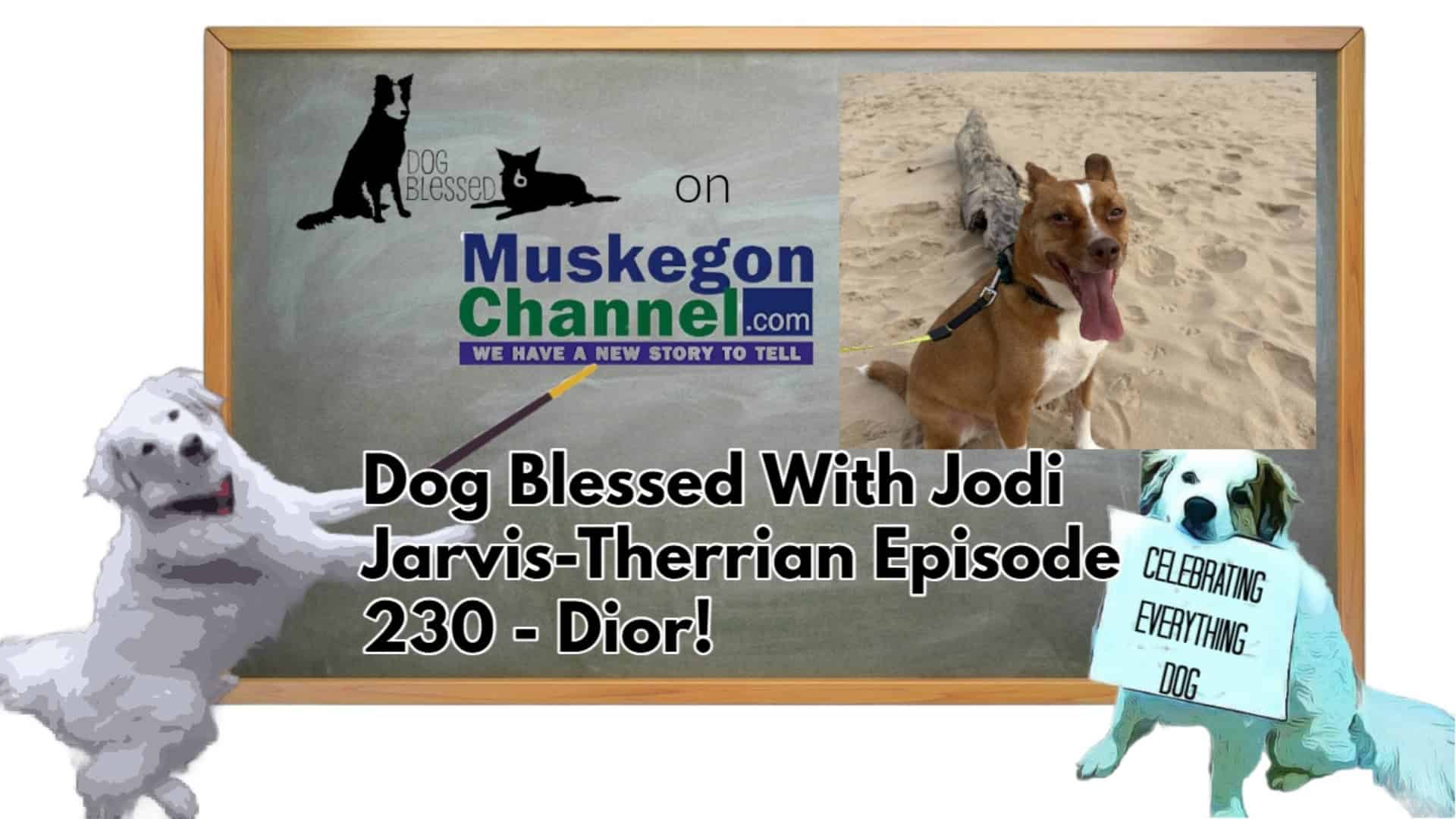 Dog Blessed With Jodi Jarvis-Therrian Episode 230 – Dog Blessed With Jodi Jarvis-Therrian – Dior Deserves His Happily Ever After