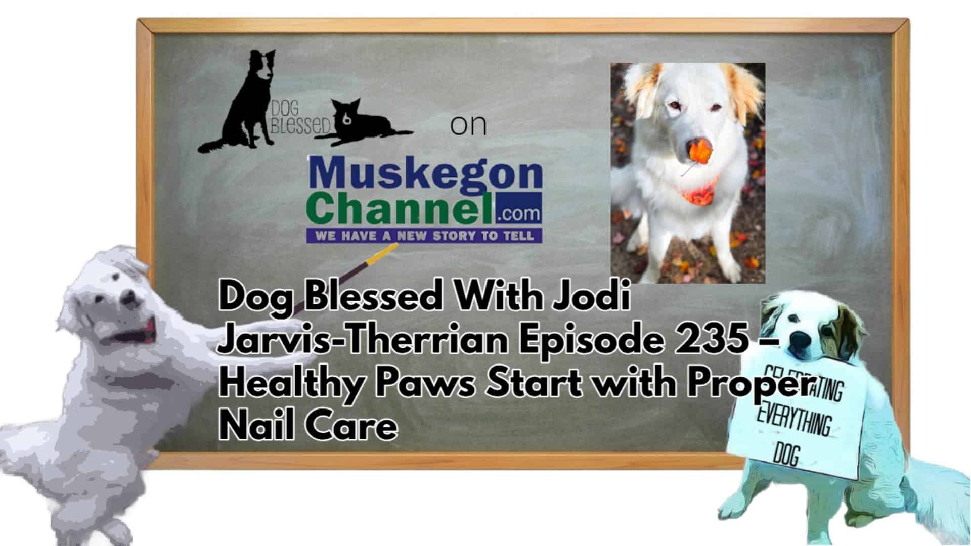 Dog Blessed With Jodi Jarvis-Therrian Episode 235 – Healthy Paws Start with Proper Nail Care